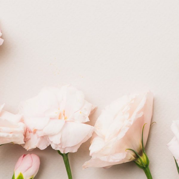 bg-header